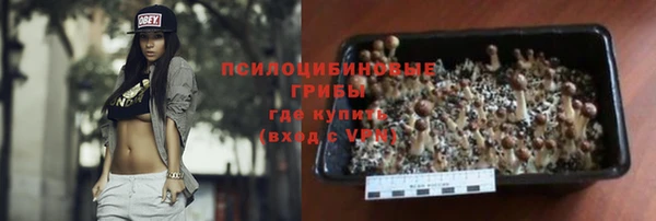 мдма Новозыбков