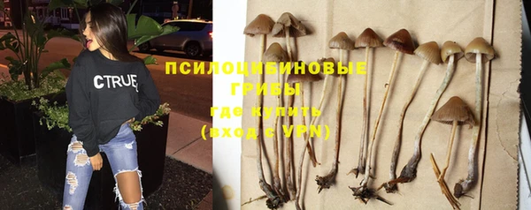 мескалин Новодвинск