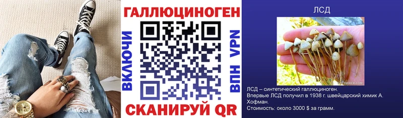 Галлюциногенные грибы MAGIC MUSHROOMS  наркошоп  Хилок 